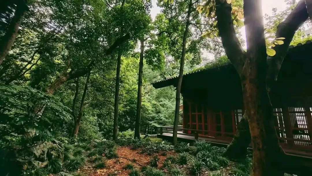 山房十二時(shí)辰——杭州靈隱全實(shí)木禪房插圖1 山房十二時(shí)辰——杭州靈隱全實(shí)木禪房插圖1