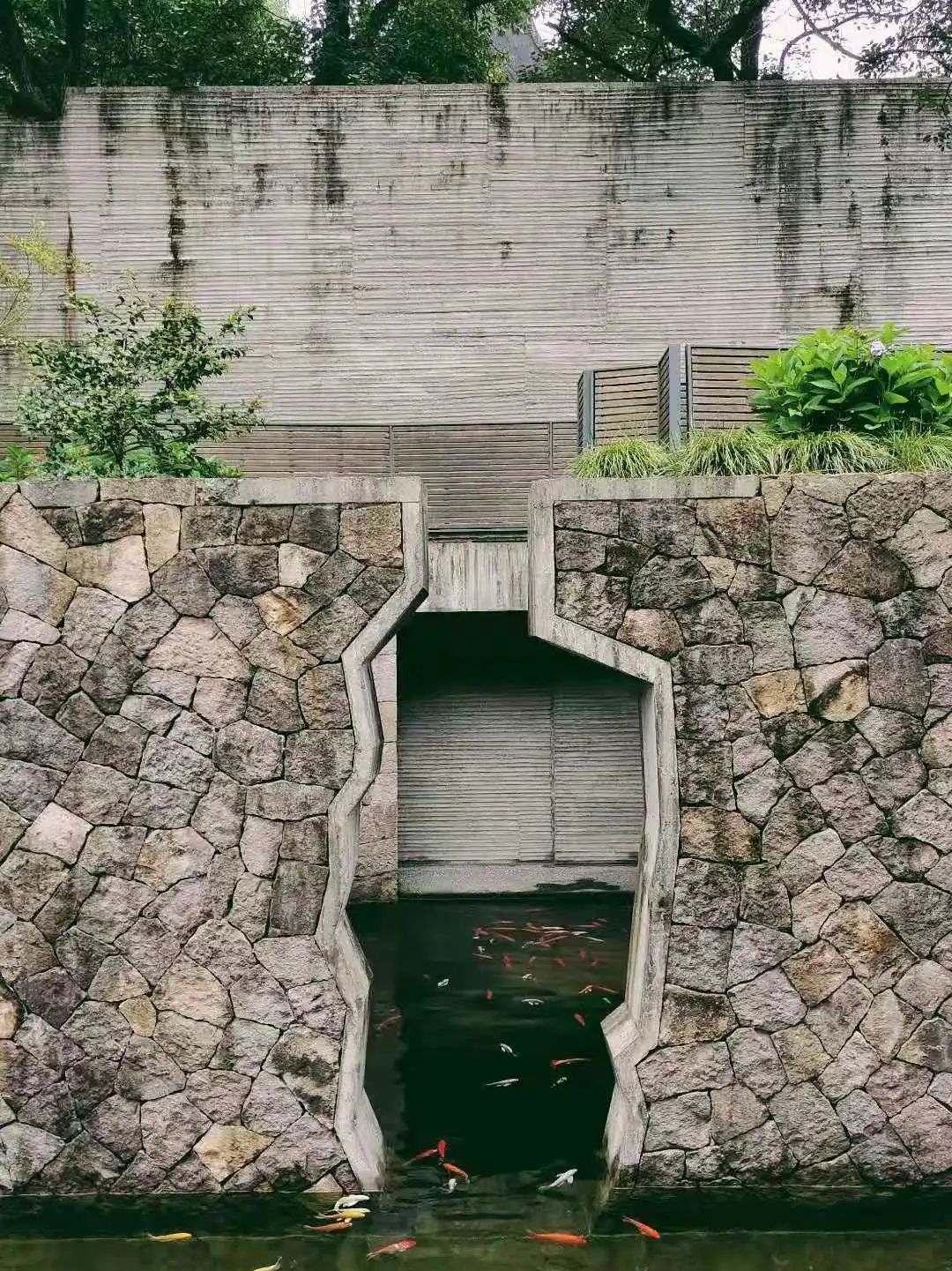 山房十二時(shí)辰——杭州靈隱全實(shí)木禪房插圖3 山房十二時(shí)辰——杭州靈隱全實(shí)木禪房插圖3