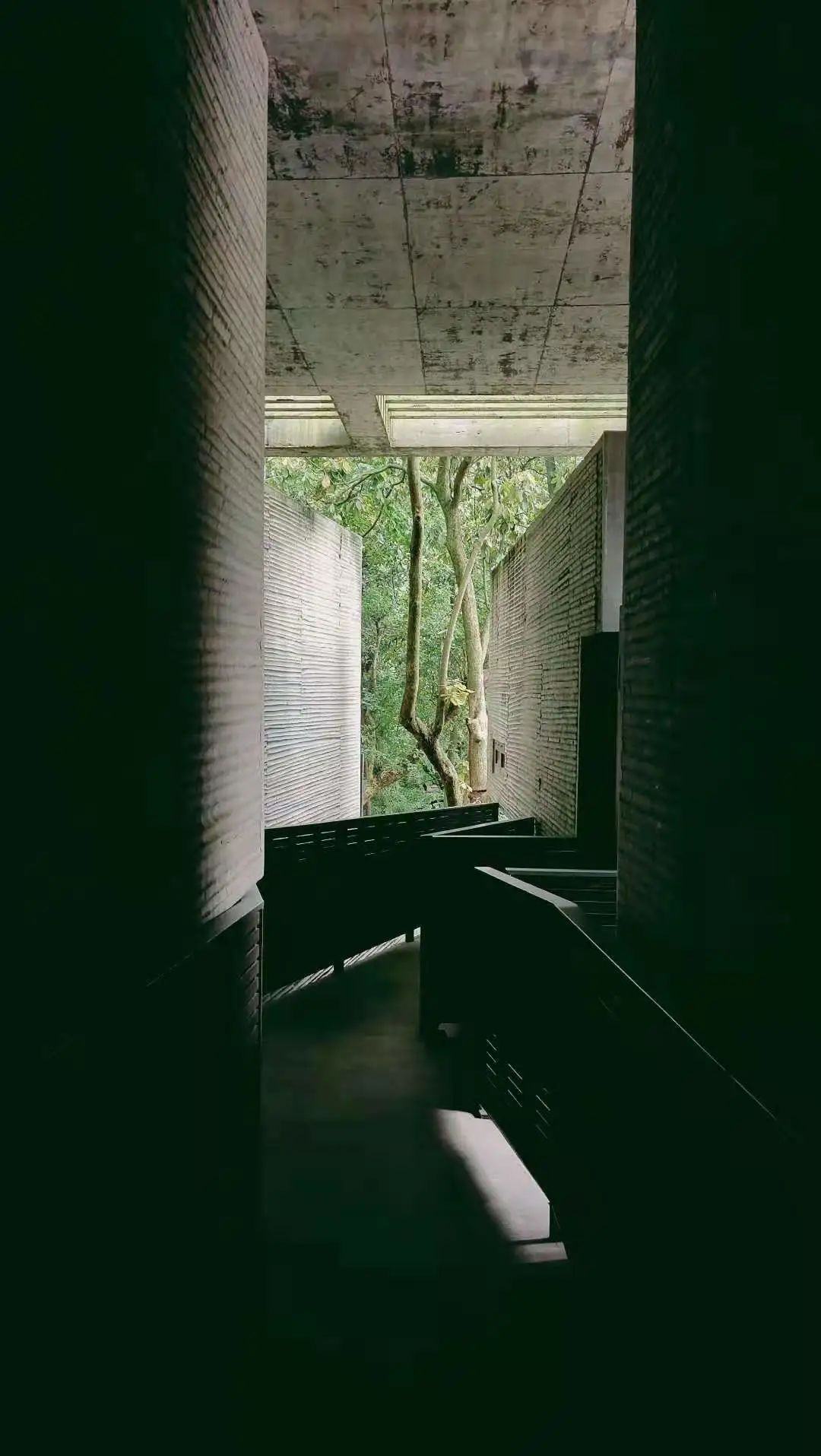 山房十二時(shí)辰——杭州靈隱全實(shí)木禪房插圖5 山房十二時(shí)辰——杭州靈隱全實(shí)木禪房插圖5