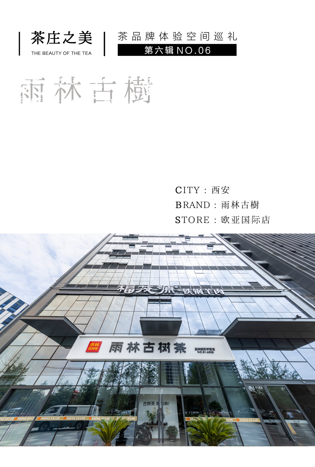 茶品牌體驗(yàn)空間巡禮第六輯 | 去雨林古樹，赴江南茶宴插圖1