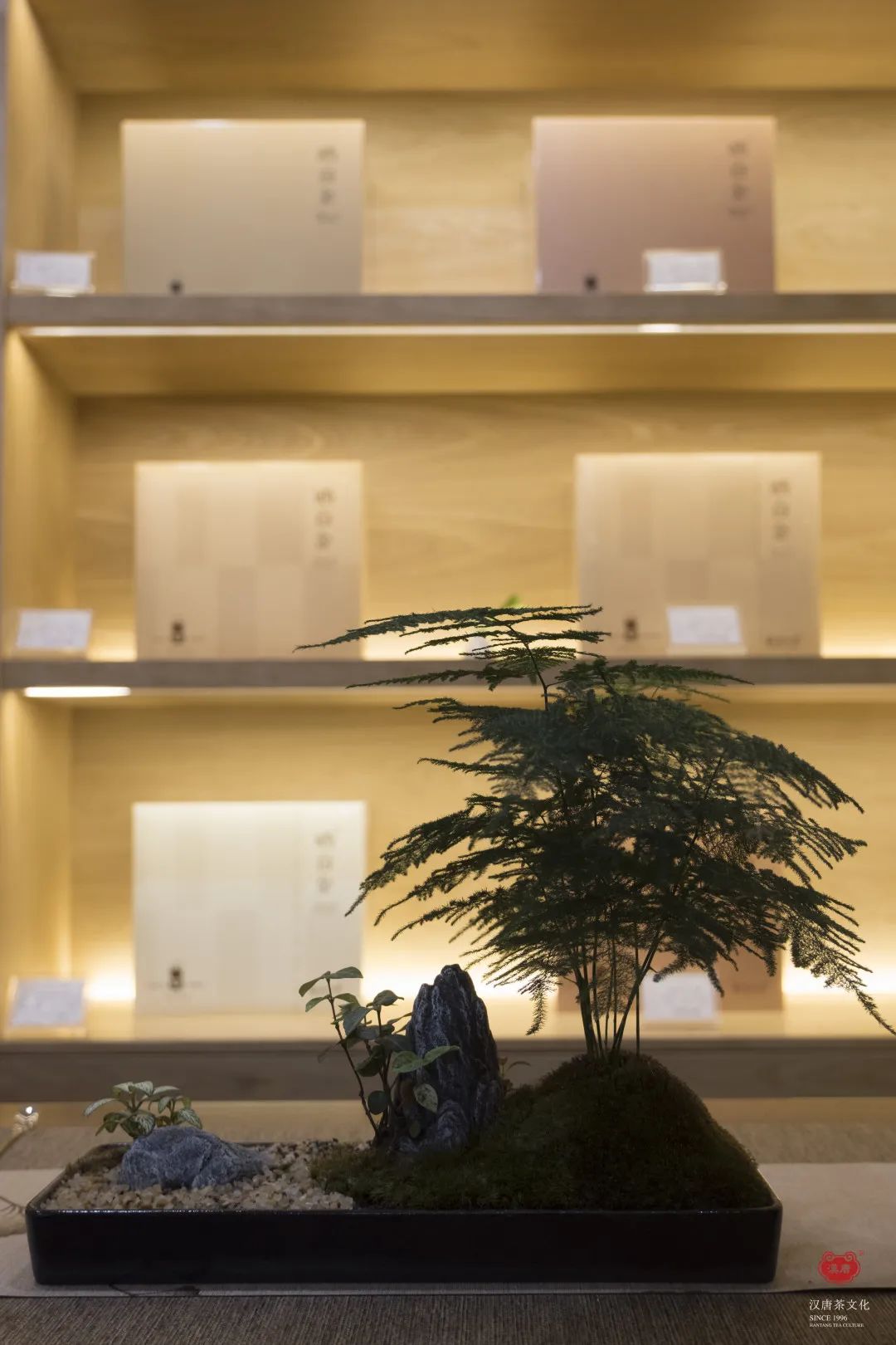 茶品牌體驗空間巡禮第四輯 | CBD里的摩登品品香插圖9 茶品牌體驗空間巡禮第四輯 | CBD里的摩登品品香插圖9