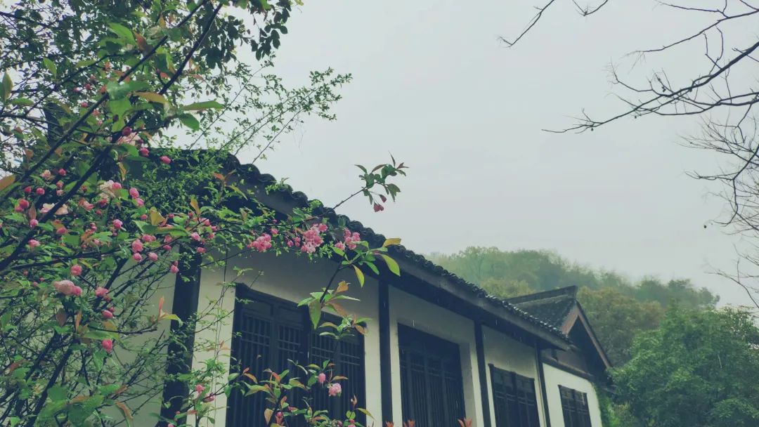 杭州茶書院啟幕 | 當代「韓熙載夜宴」，復現(xiàn)中國文人雅趣生活插圖16
