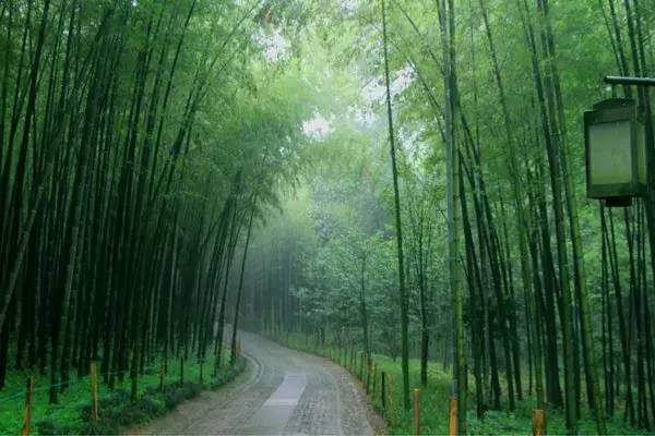 揭秘|探班漢唐宣傳視頻拍攝現(xiàn)場(chǎng)插圖 揭秘|探班漢唐宣傳視頻拍攝現(xiàn)場(chǎng)插圖