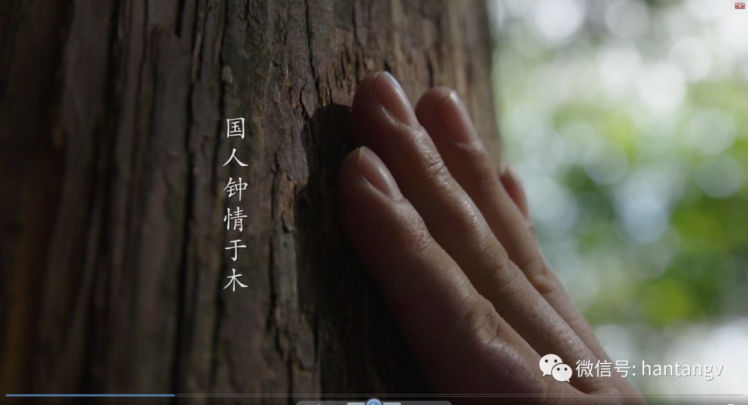 漢唐最新宣傳片《漢唐匠心》震撼發(fā)布！插圖2