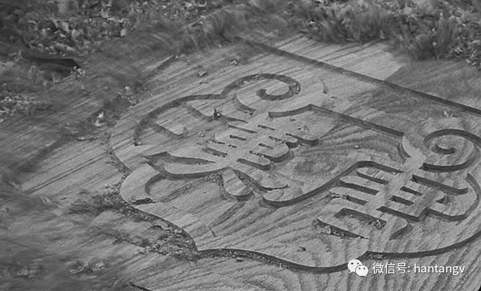 榮膺2016年杭州茶樓業(yè)協(xié)會先進會員單位插圖14