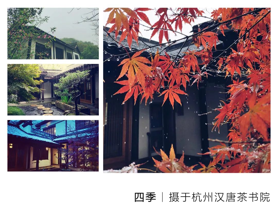特別策劃 | 茶室中國(guó) NO.1 時(shí)節(jié)的詩(shī)意插圖7 特別策劃 | 茶室中國(guó) NO.1 時(shí)節(jié)的詩(shī)意插圖7