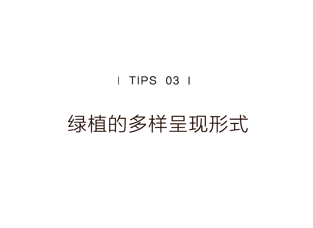 特別策劃 | 茶室中國(guó) NO.1 時(shí)節(jié)的詩(shī)意插圖34 特別策劃 | 茶室中國(guó) NO.1 時(shí)節(jié)的詩(shī)意插圖34