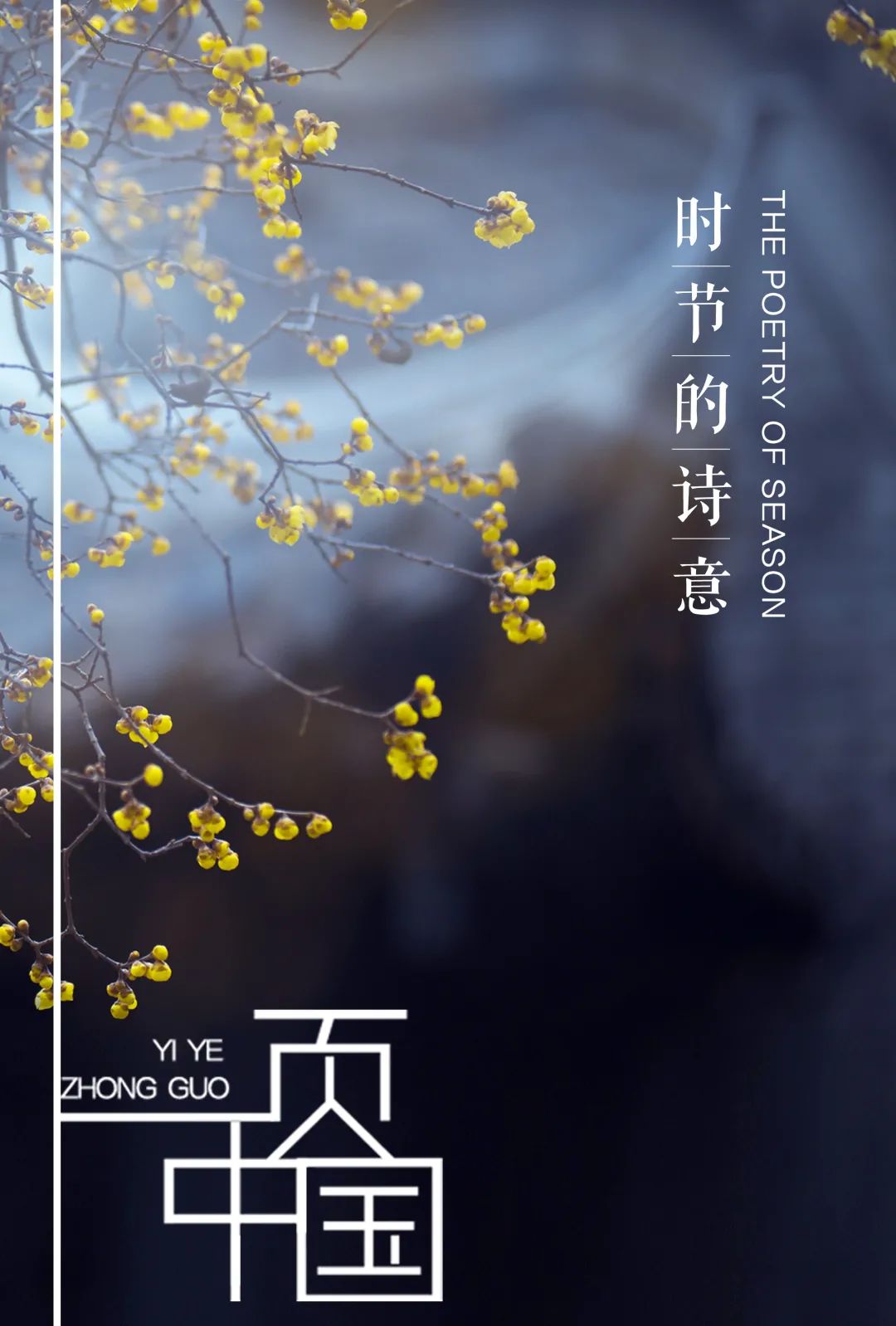 特別策劃 | 茶室中國(guó) NO.1 時(shí)節(jié)的詩(shī)意插圖12 特別策劃 | 茶室中國(guó) NO.1 時(shí)節(jié)的詩(shī)意插圖12